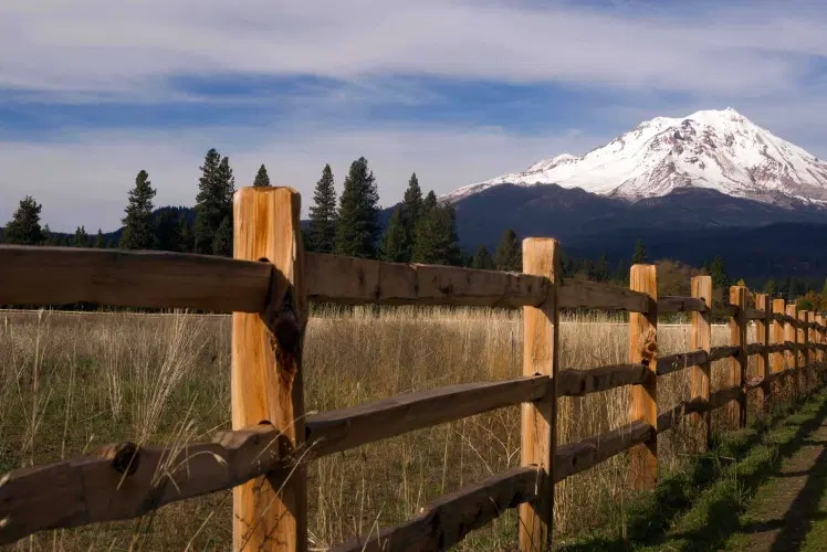 Monte-Shasta