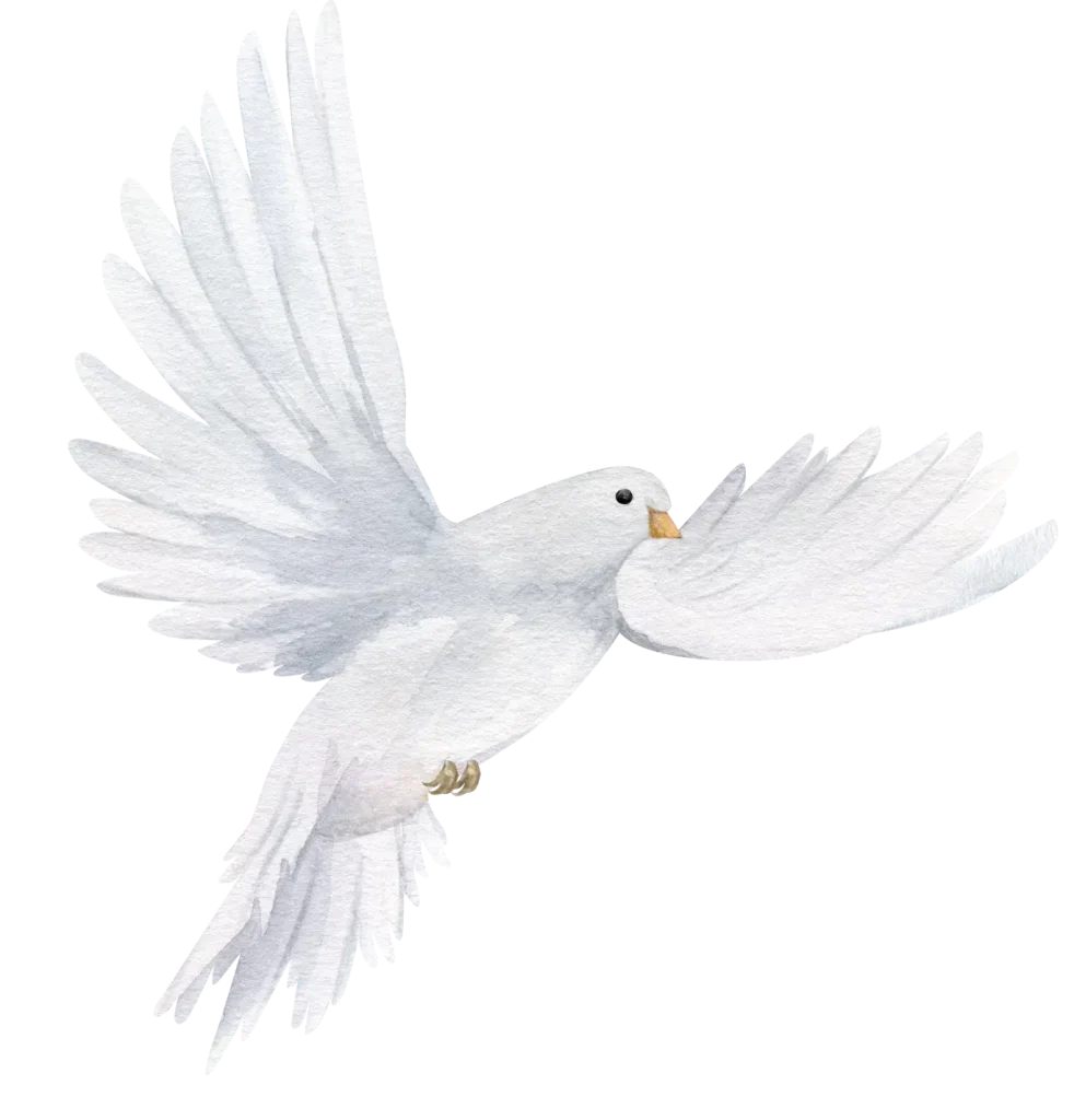 Yo Soy La Paz - Un movimiento espiritual liderado por Mabel Katz 5 paloma