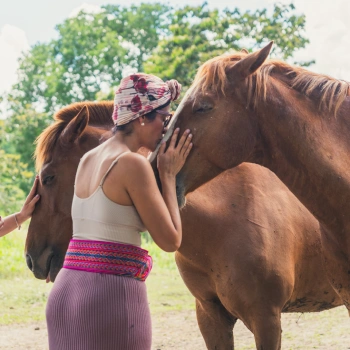 meditacion guiada con caballos