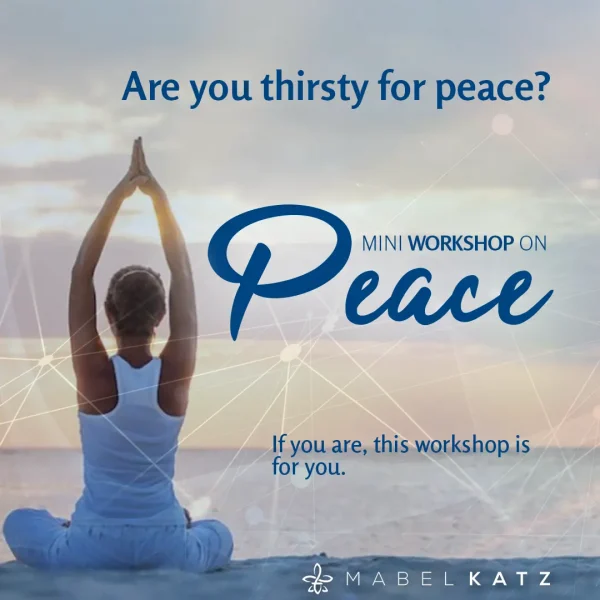 mini workshop peace