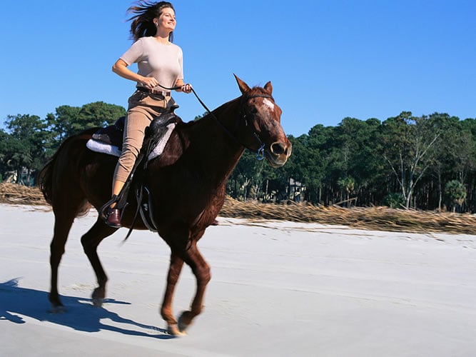 hooponopono-ride-one-horse